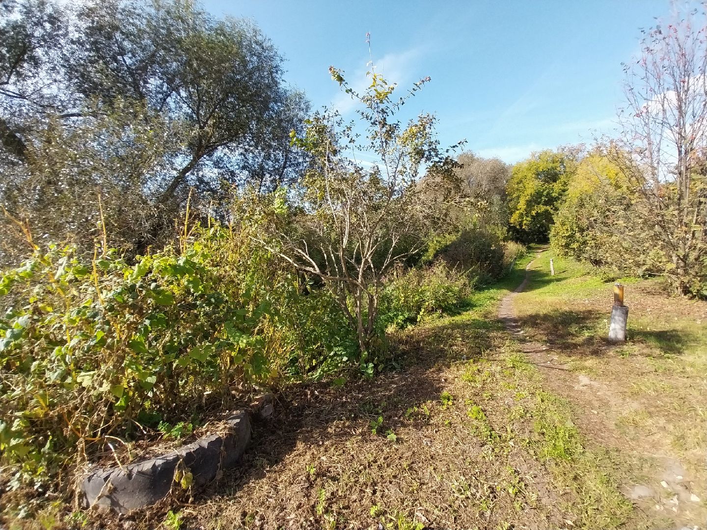 Коломна, история, легенды, Исторические легенды, Краеведение,