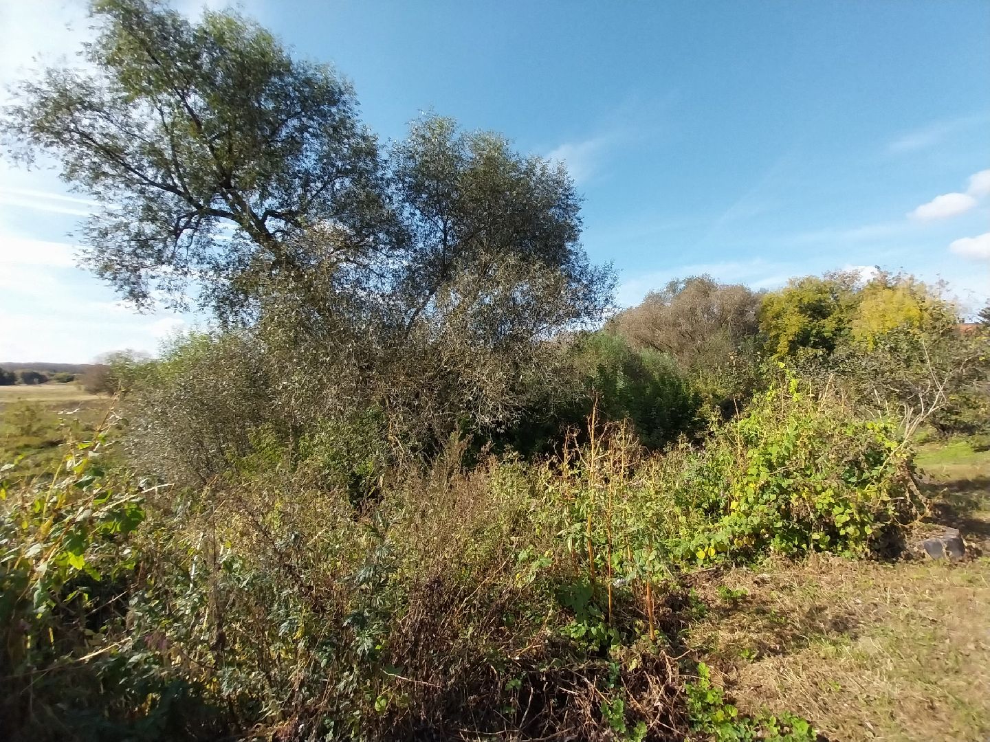 Коломна, история, легенды, Исторические легенды, Краеведение,