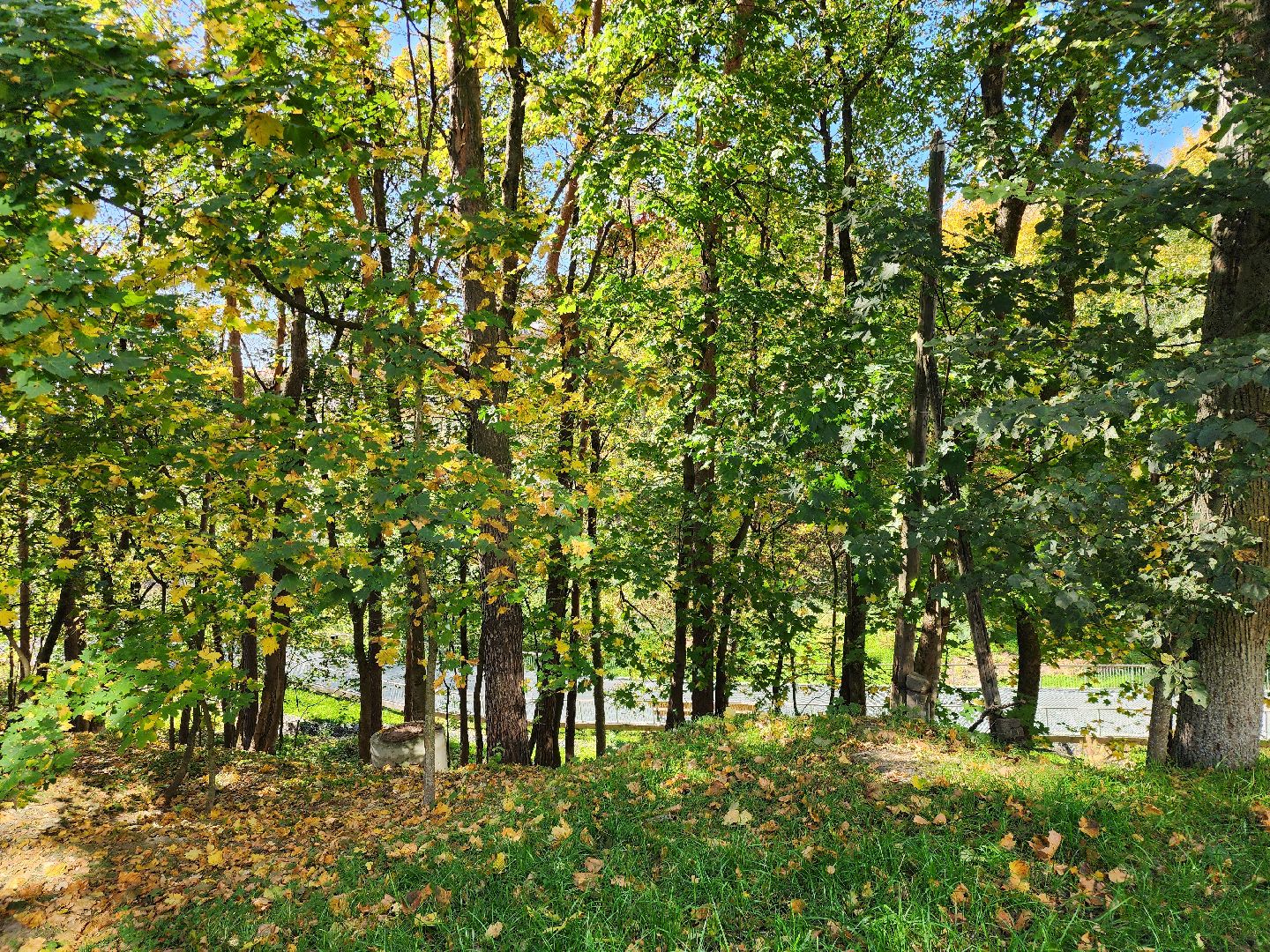 Звенигород, Медицина, Психология, Осенняя депрессия, Профилактика,
