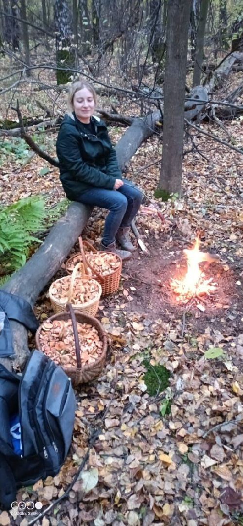 подмосковье, грибы,