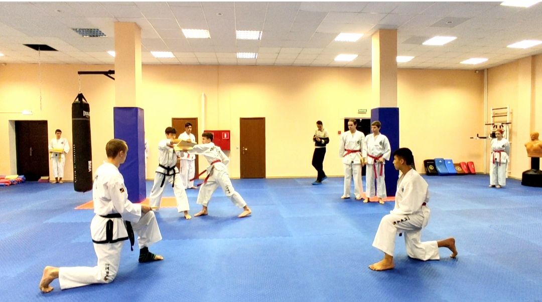 Лобня, спорт, бокс, тхэквондо