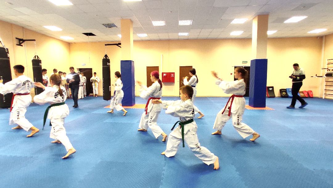 Лобня, спорт, бокс, тхэквондо