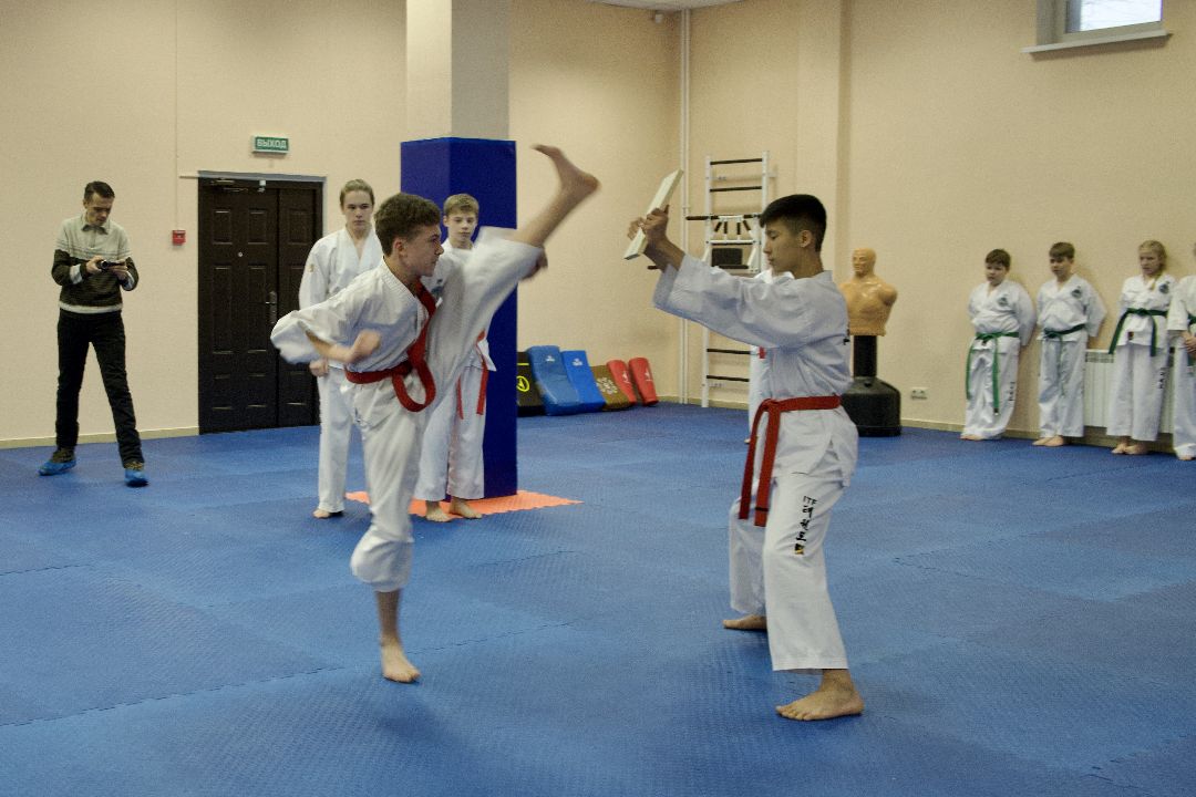 Лобня, спорт, бокс, тхэквондо