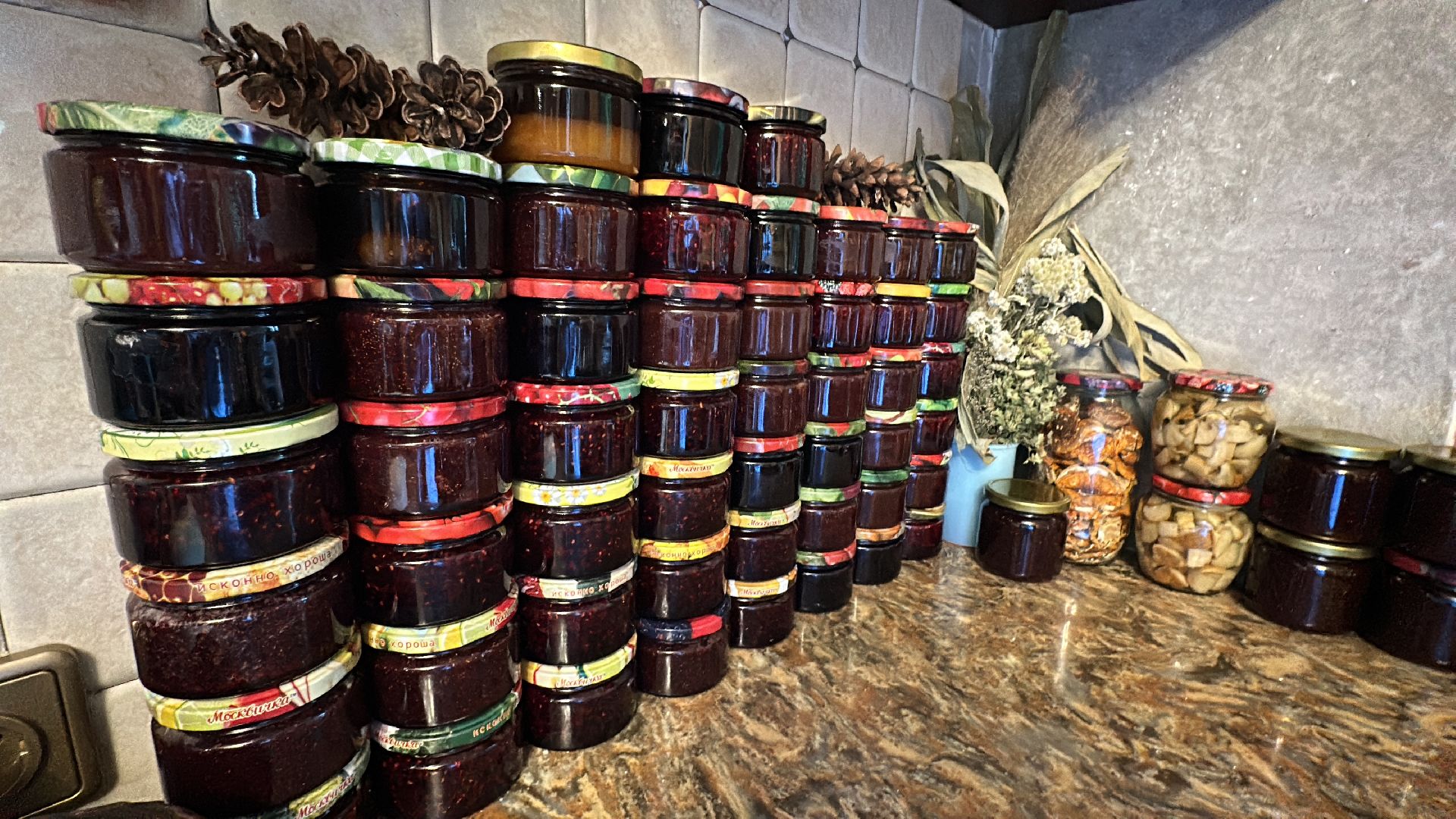 Одинцово, Грибы, Подмосковье,