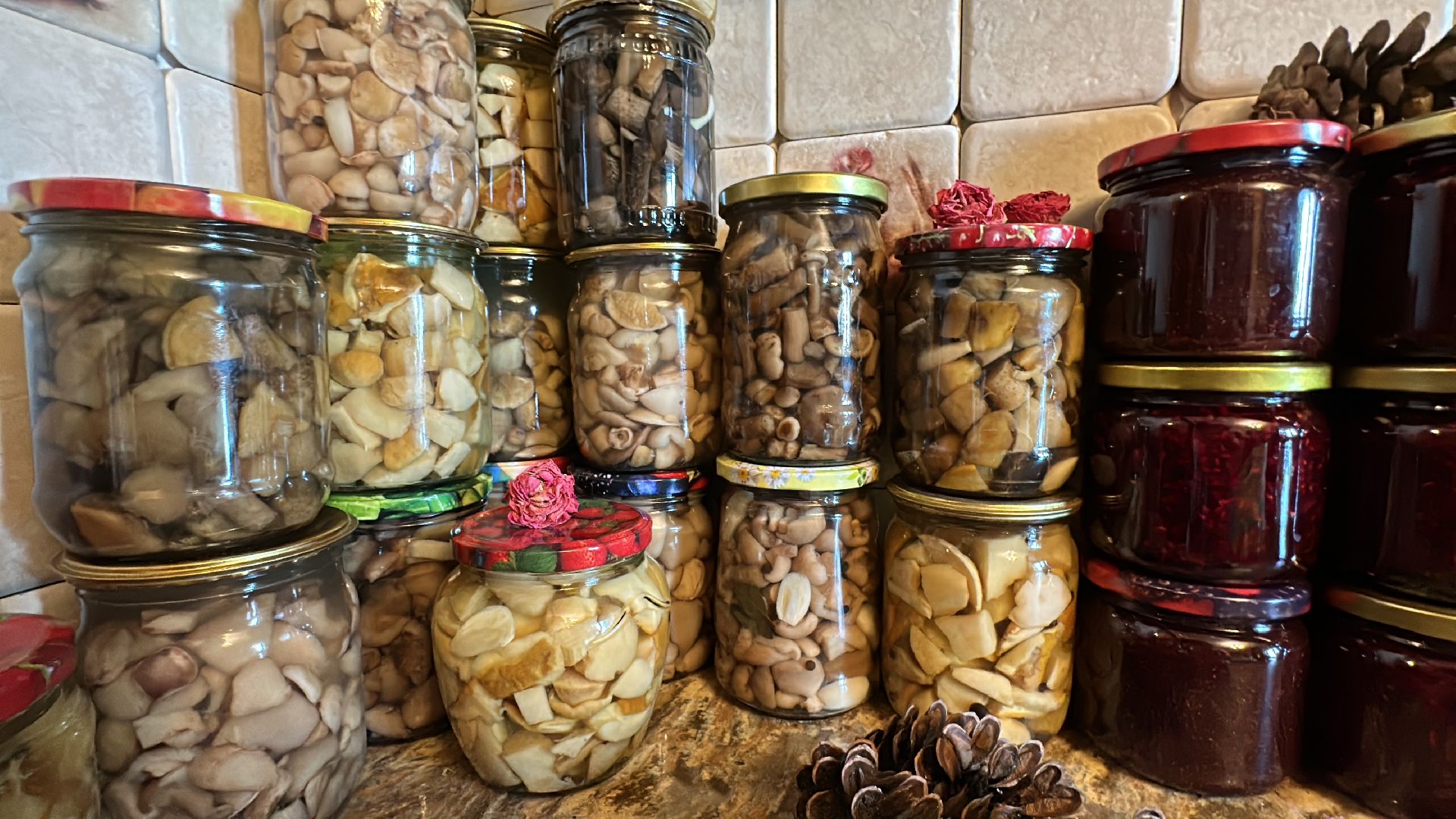 Одинцово, Грибы, Подмосковье,