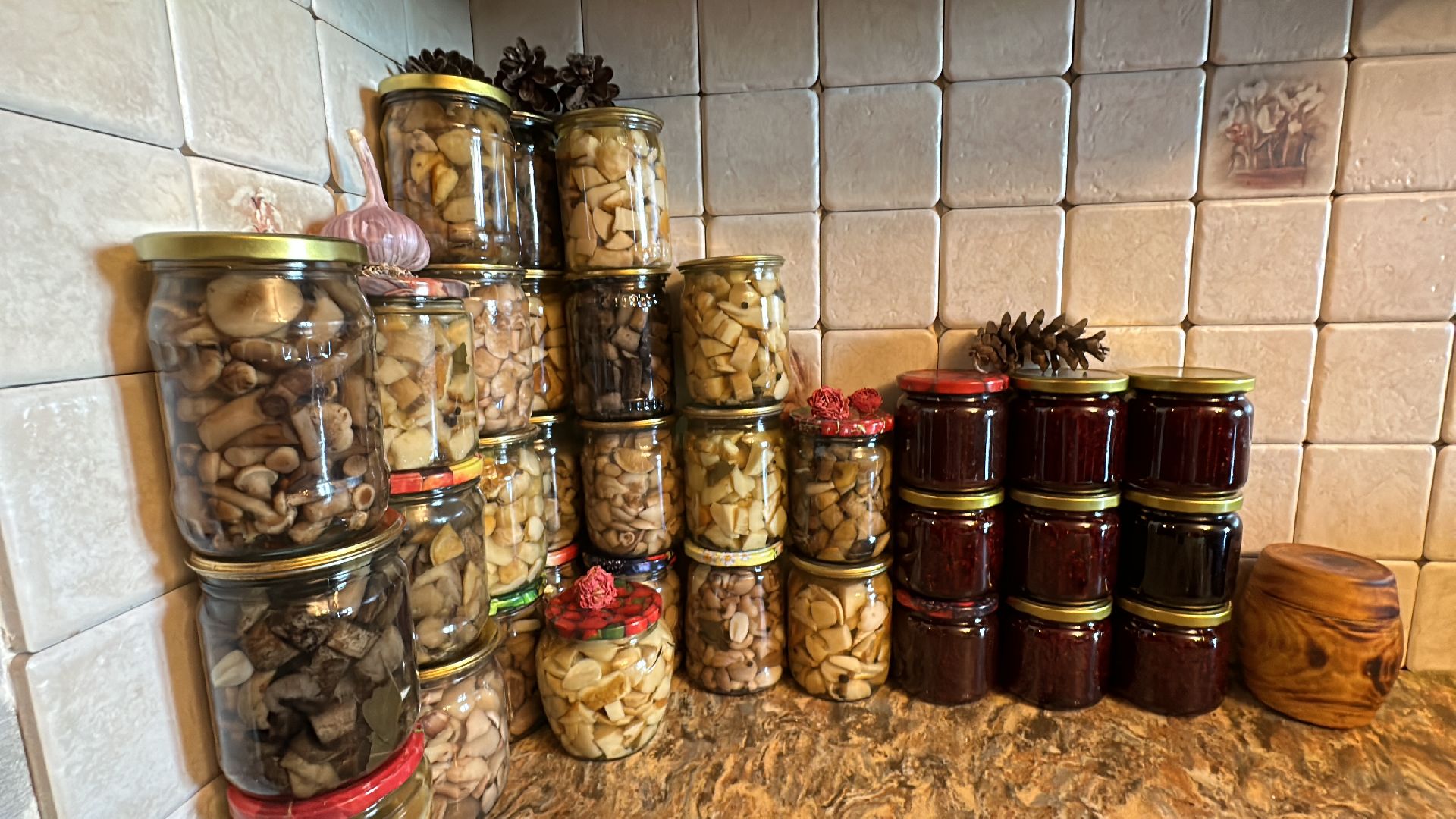 Одинцово, Грибы, Подмосковье,