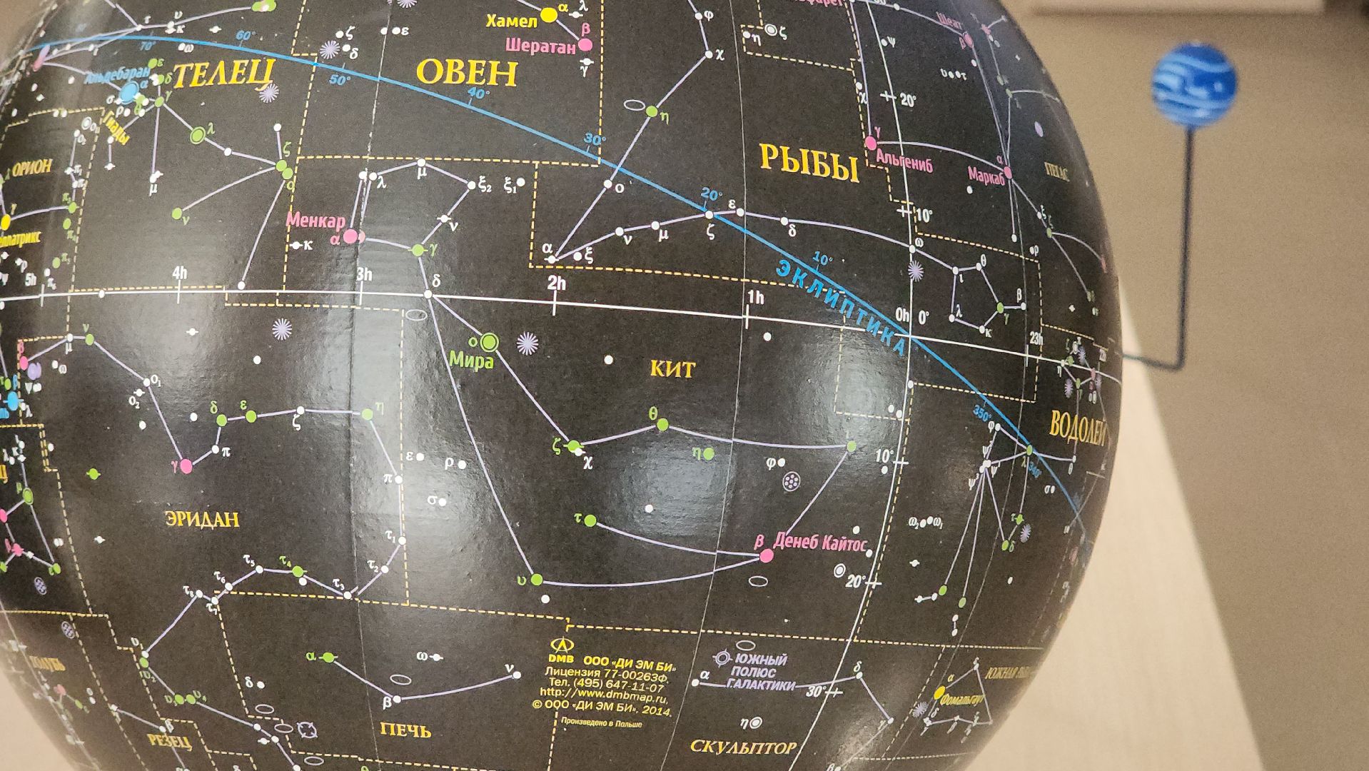 Пушкино, городской округ Пушкинский, образование, новая школа, общество, дети, гимназия,