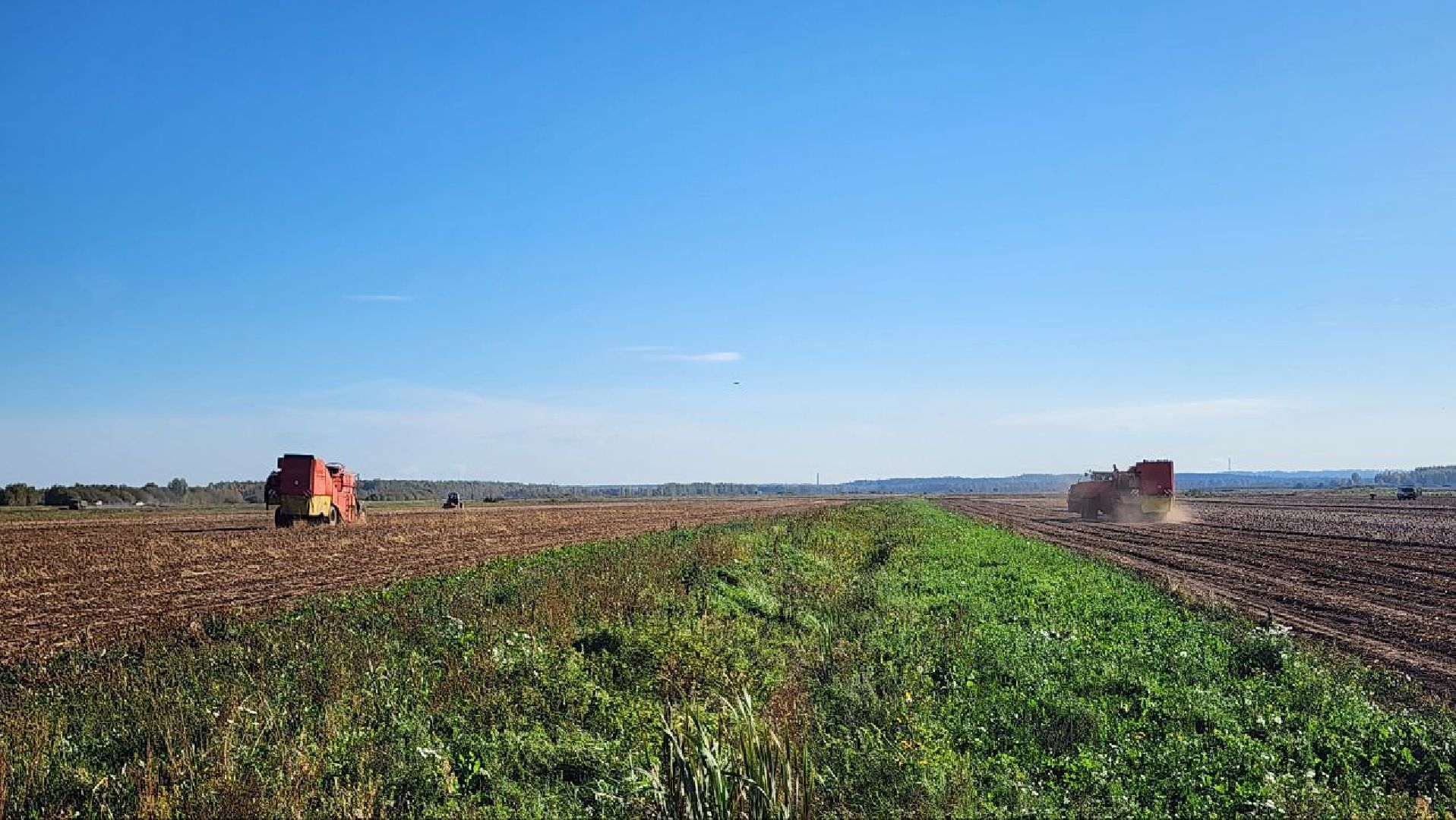 Дмитров, ЗАО Куликово, Дока генные технологии, Минсельхоз,
