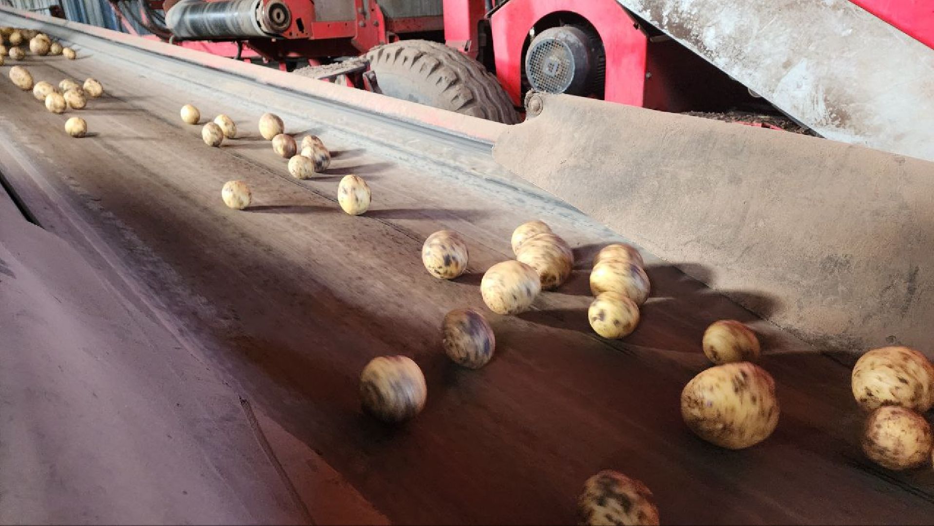 Дмитров, ЗАО Куликово, Дока генные технологии, Минсельхоз,