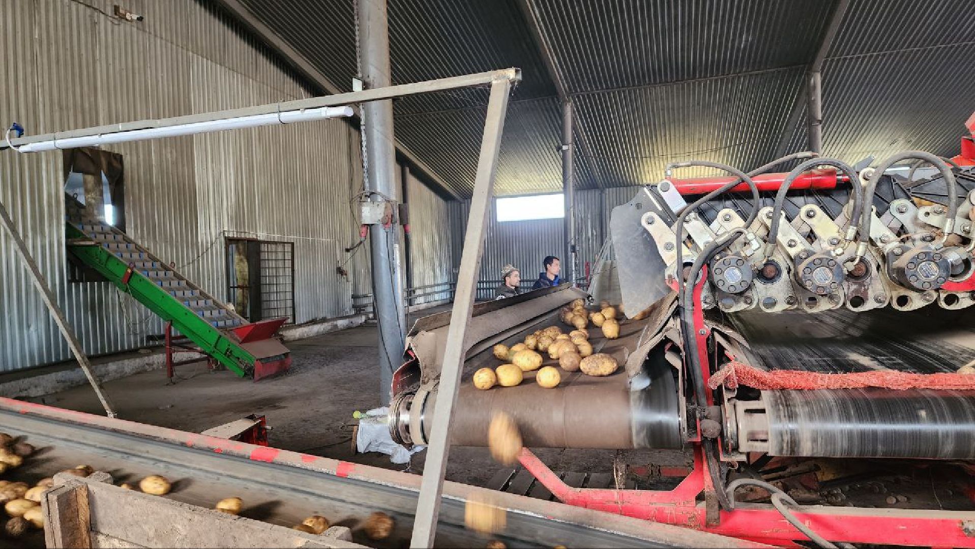 Дмитров, ЗАО Куликово, Дока генные технологии, Минсельхоз,