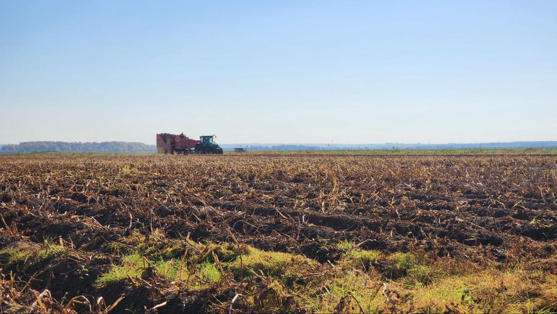 Дмитров, ЗАО Куликово, Дока генные технологии, Минсельхоз,