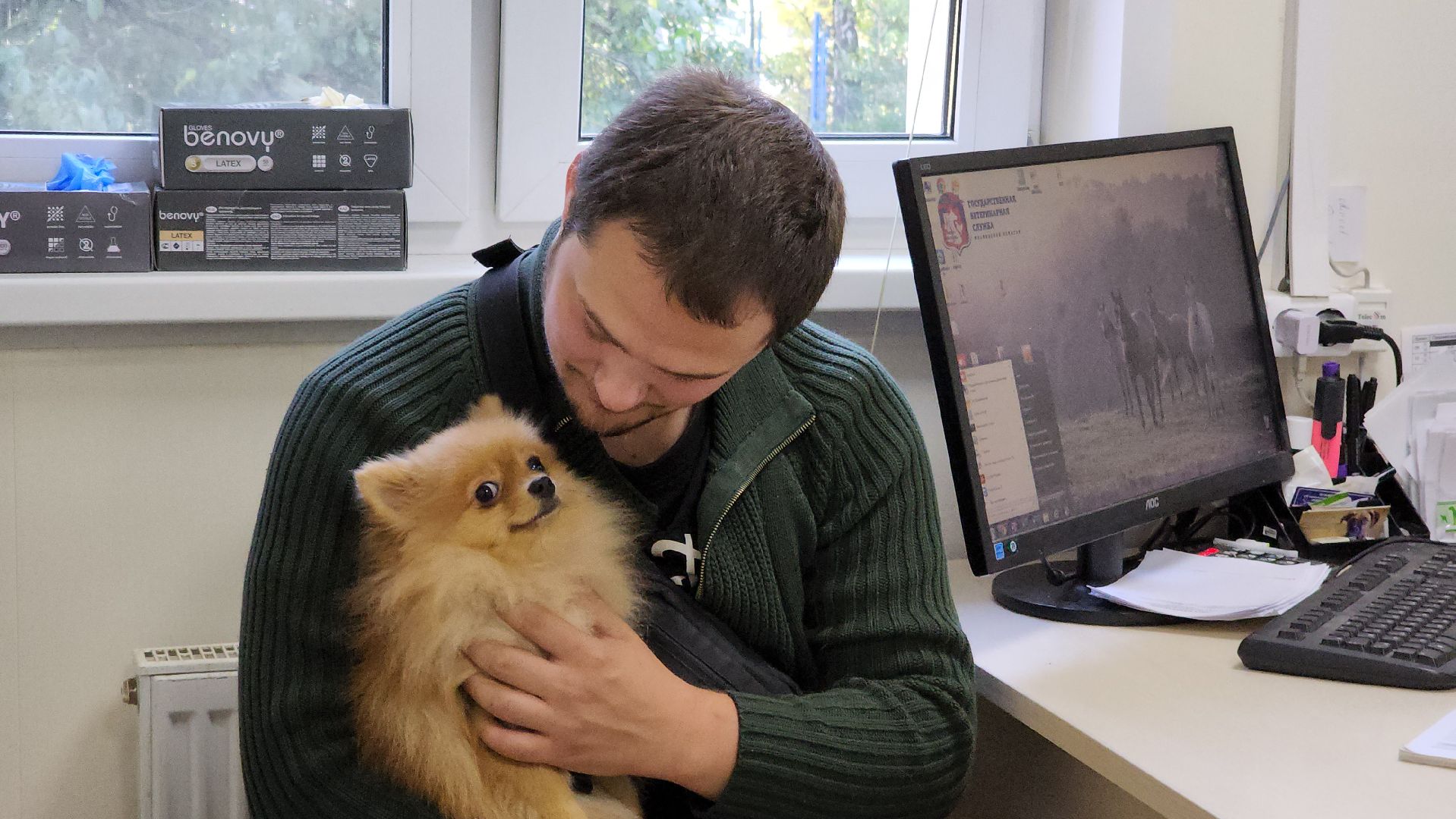 Одинцово, Ветеринар, лайм,