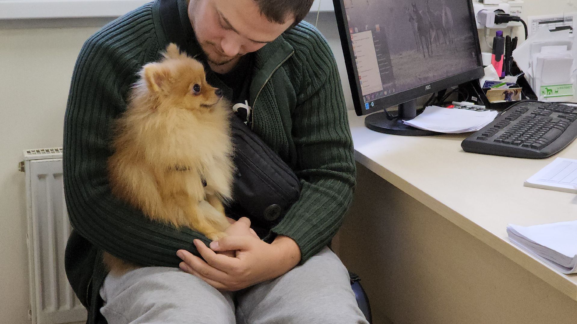 Одинцово, Ветеринар, лайм,