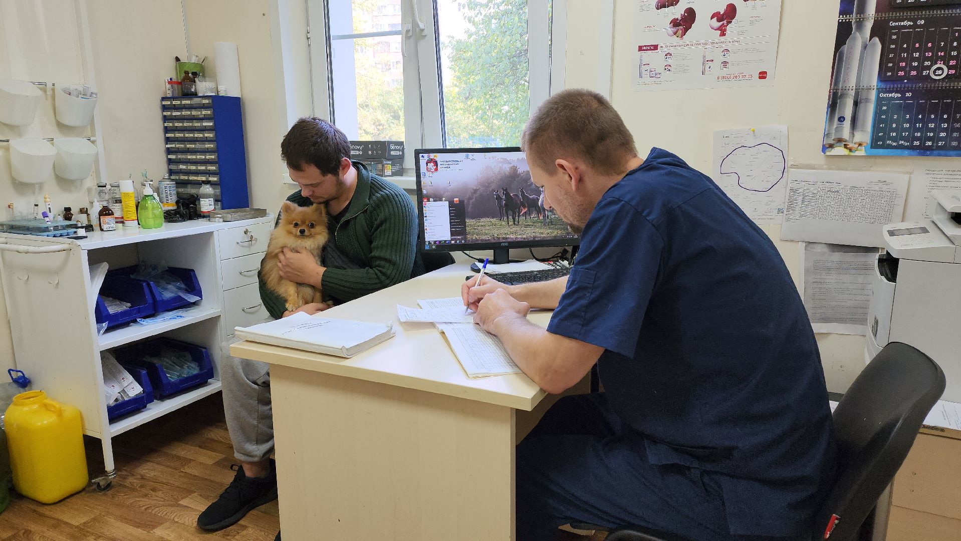 Одинцово, Ветеринар, лайм,