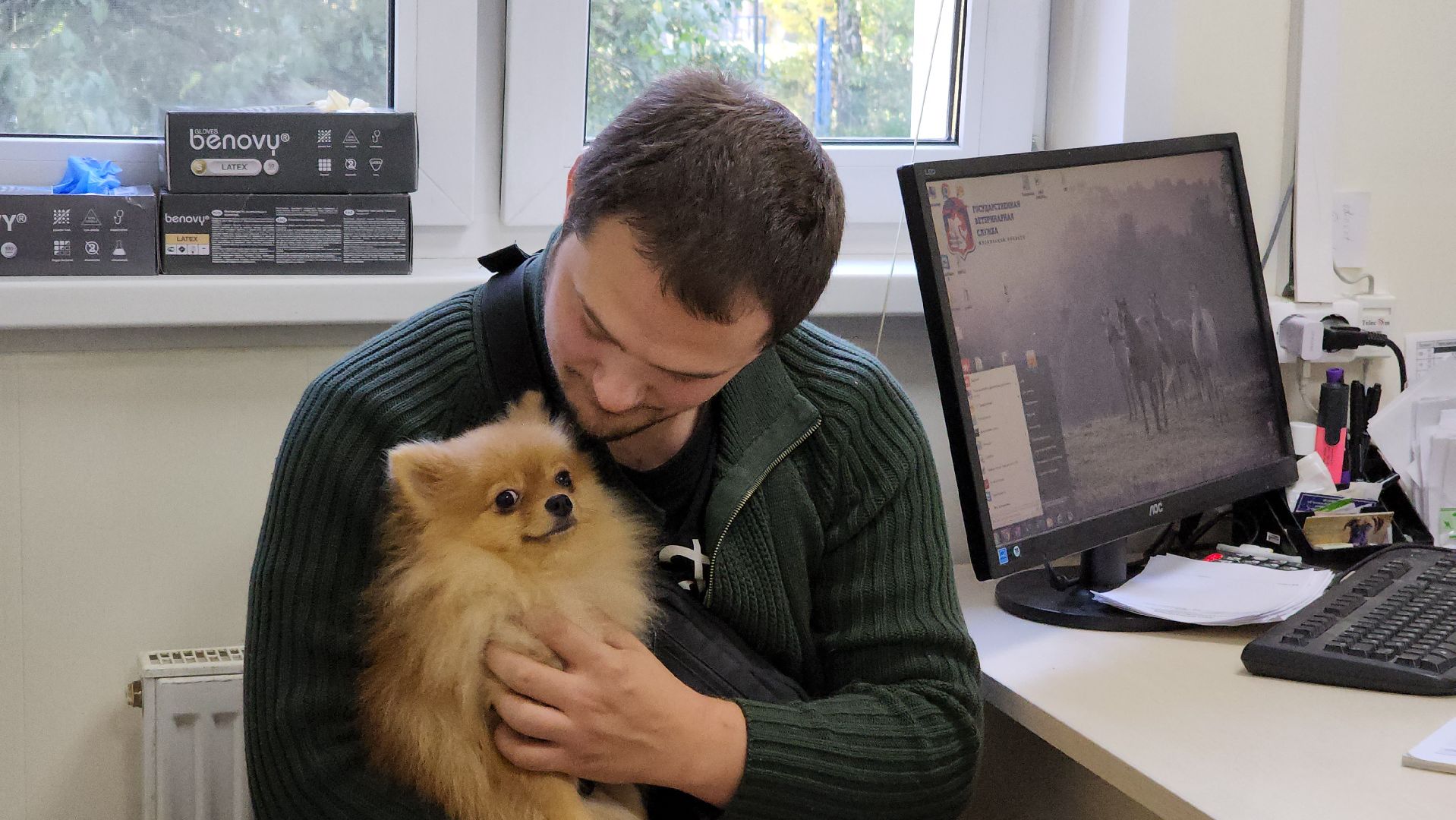 Одинцово, Ветеринар, лайм,