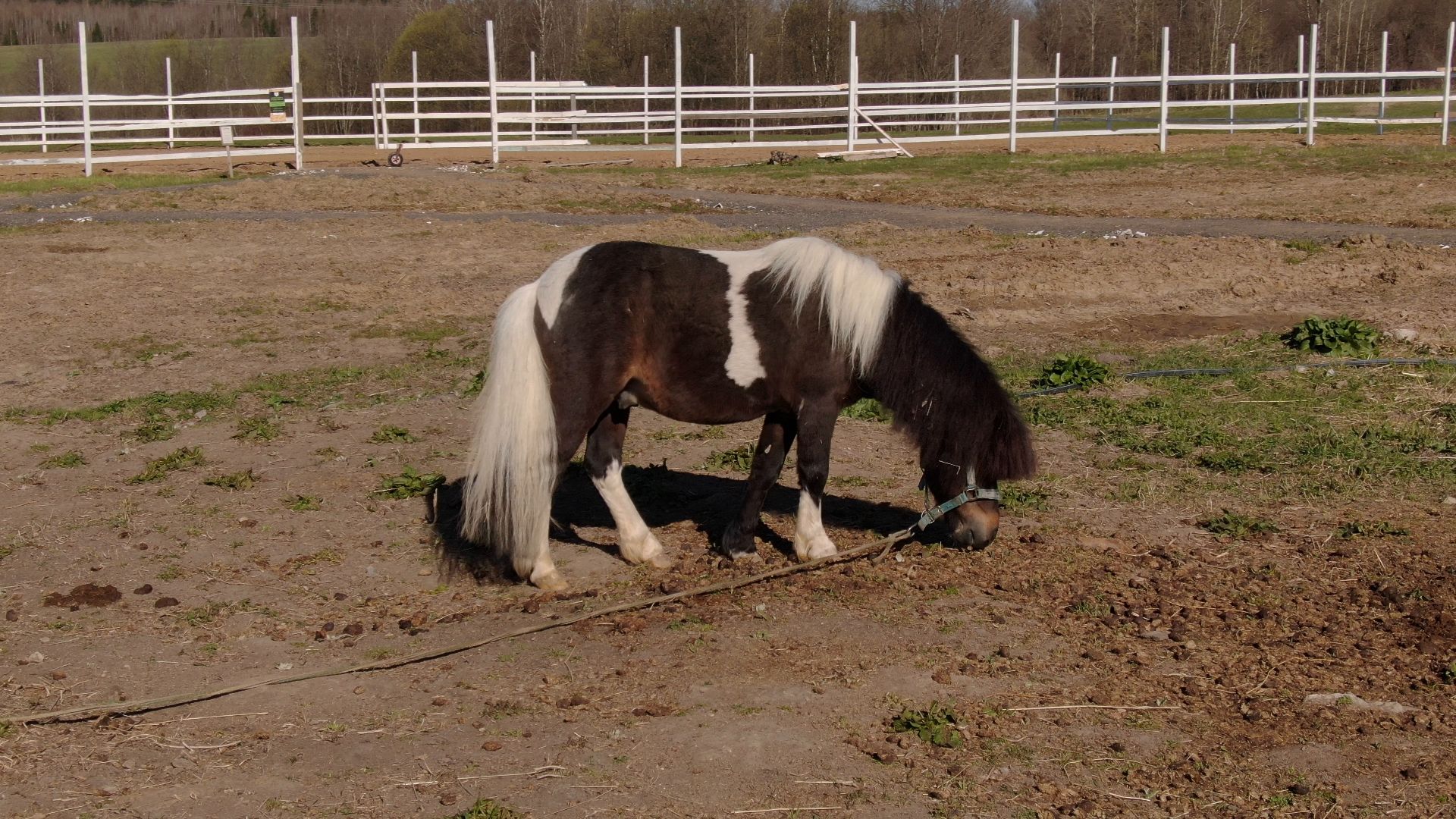 дмитров, ферма, шихово,видео с коптера,
