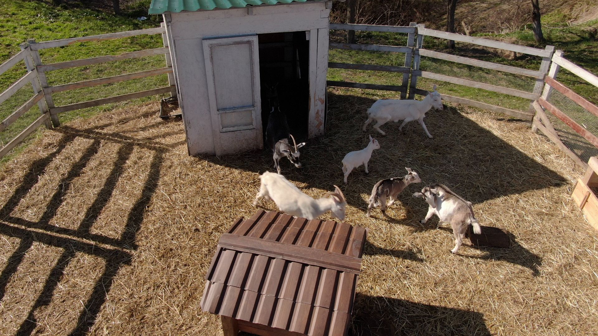 дмитров, ферма, шихово,видео с коптера,