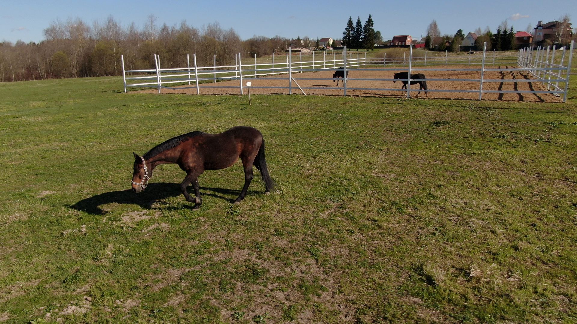 дмитров, ферма, шихово,видео с коптера,