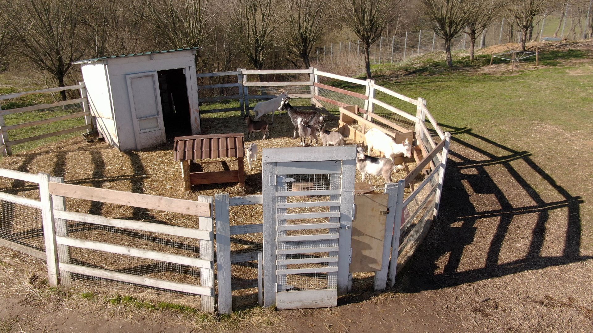 дмитров, ферма, шихово,видео с коптера,