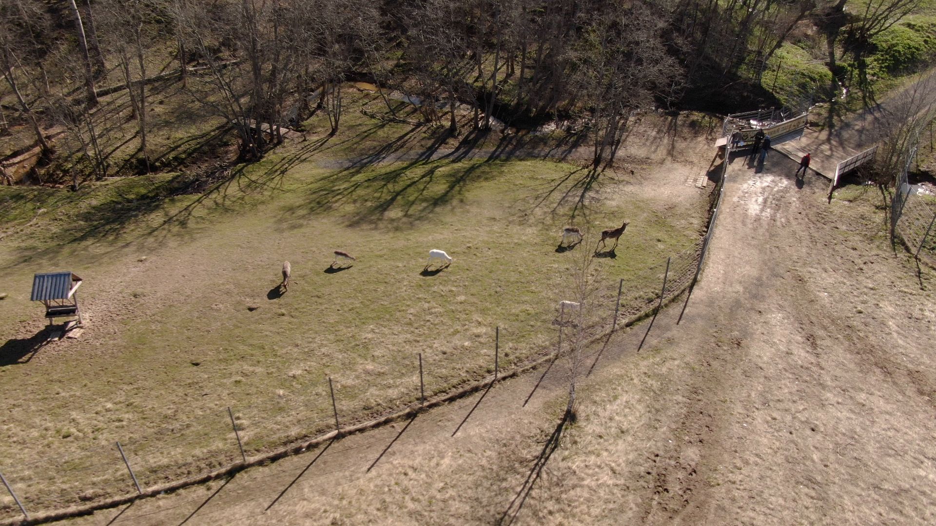 дмитров, ферма, шихово,видео с коптера,