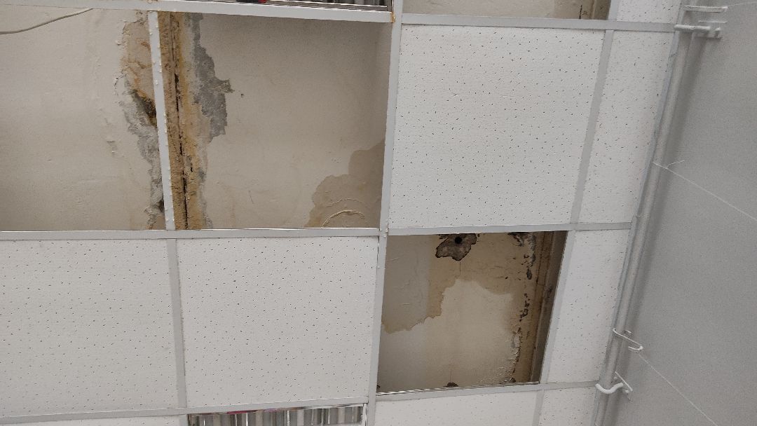 #Лобня #выставка #жкх