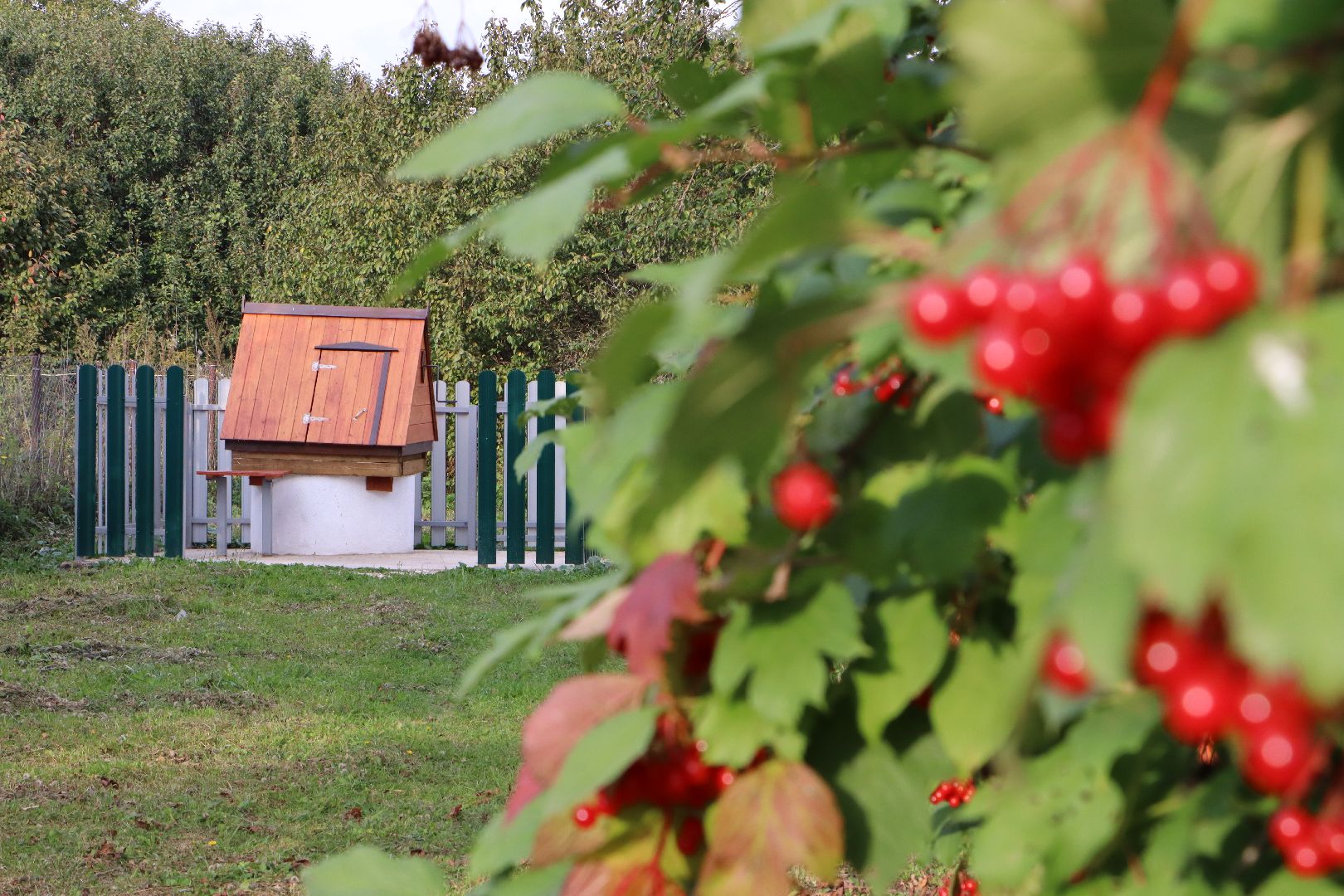 Серебряные Пруды, село Мочилы, благоустройство колодцев, Чистая вода, ВЗУ,