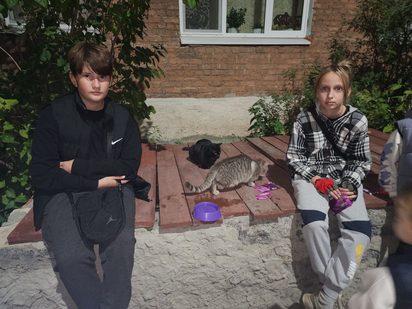 ЧП, спасли кошку, шатура,