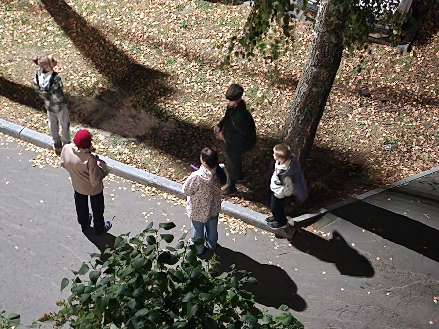 ЧП, спасли кошку, шатура,