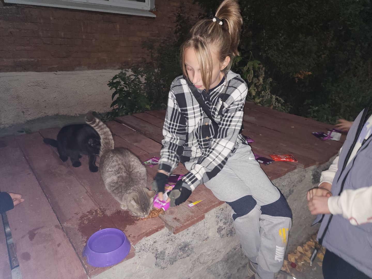 ЧП, спасли кошку, шатура,