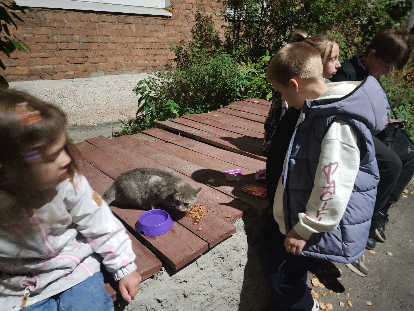 ЧП, спасли кошку, шатура,