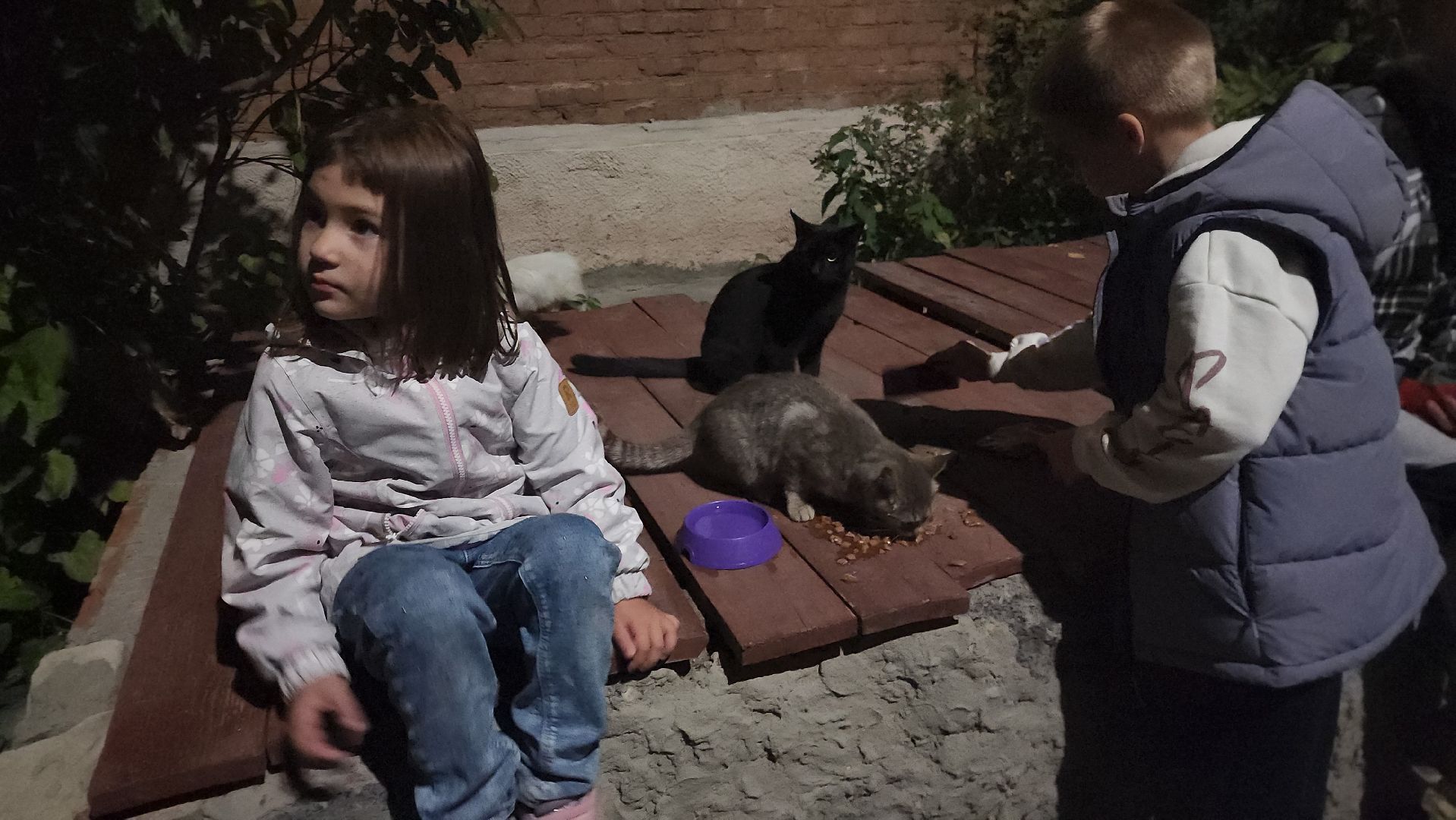 ЧП, спасли кошку, шатура,