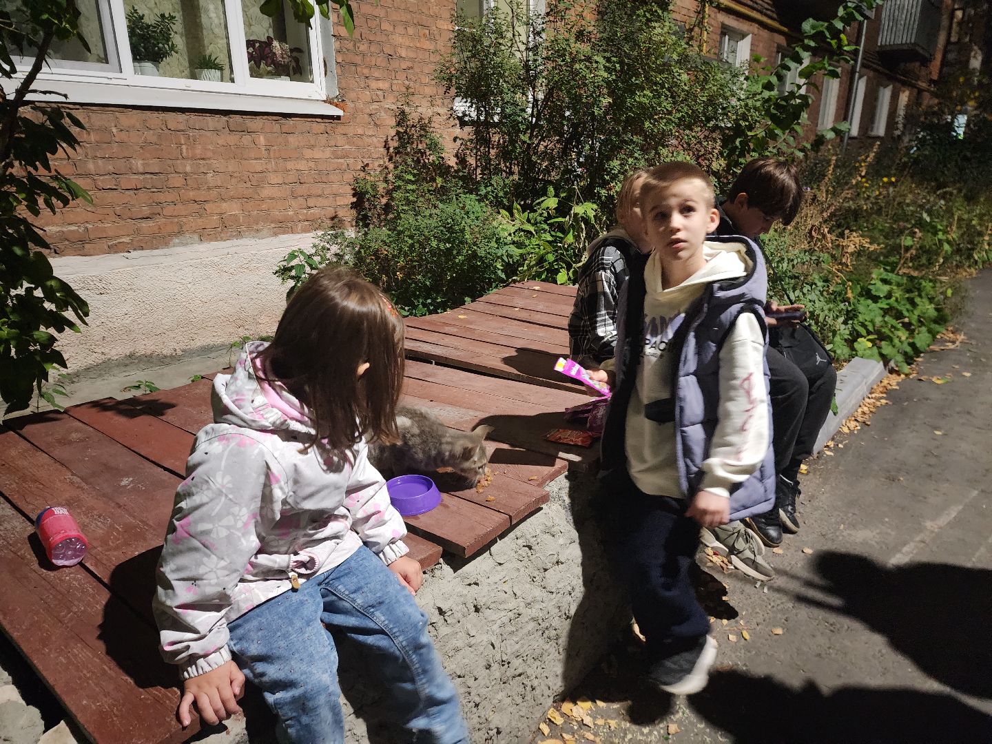 ЧП, спасли кошку, шатура,