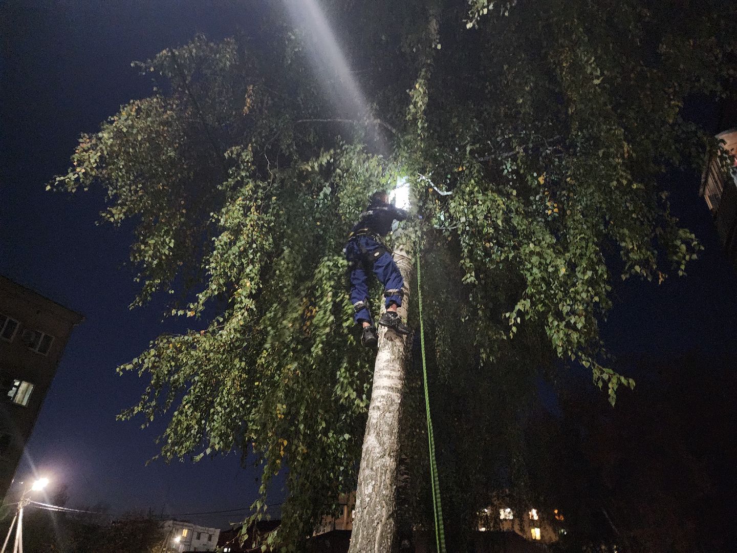 ЧП, спасли кошку, шатура,