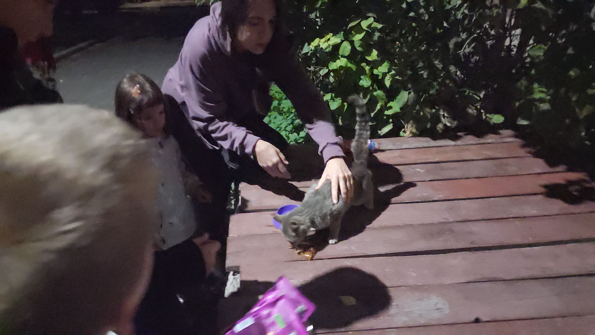 ЧП, спасли кошку, шатура,