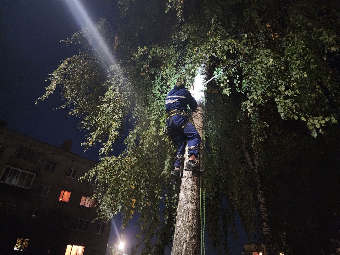 ЧП, спасли кошку, шатура,