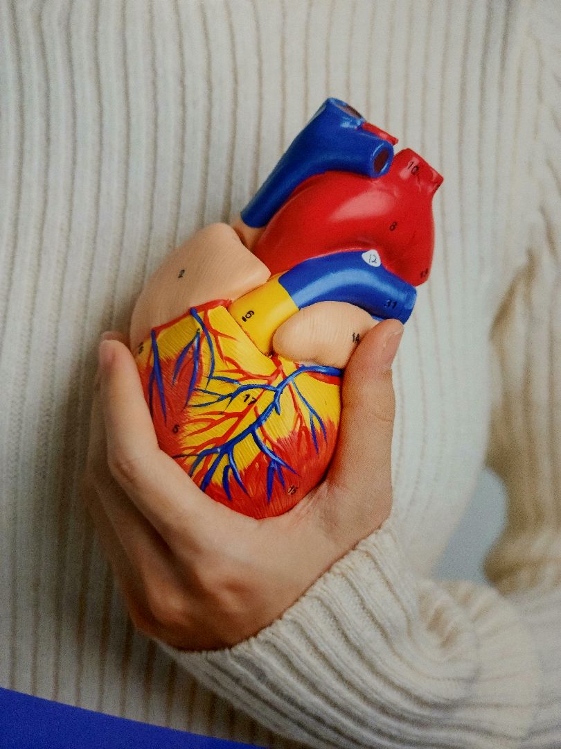 День сердца, шатура, медицина, кардиология,