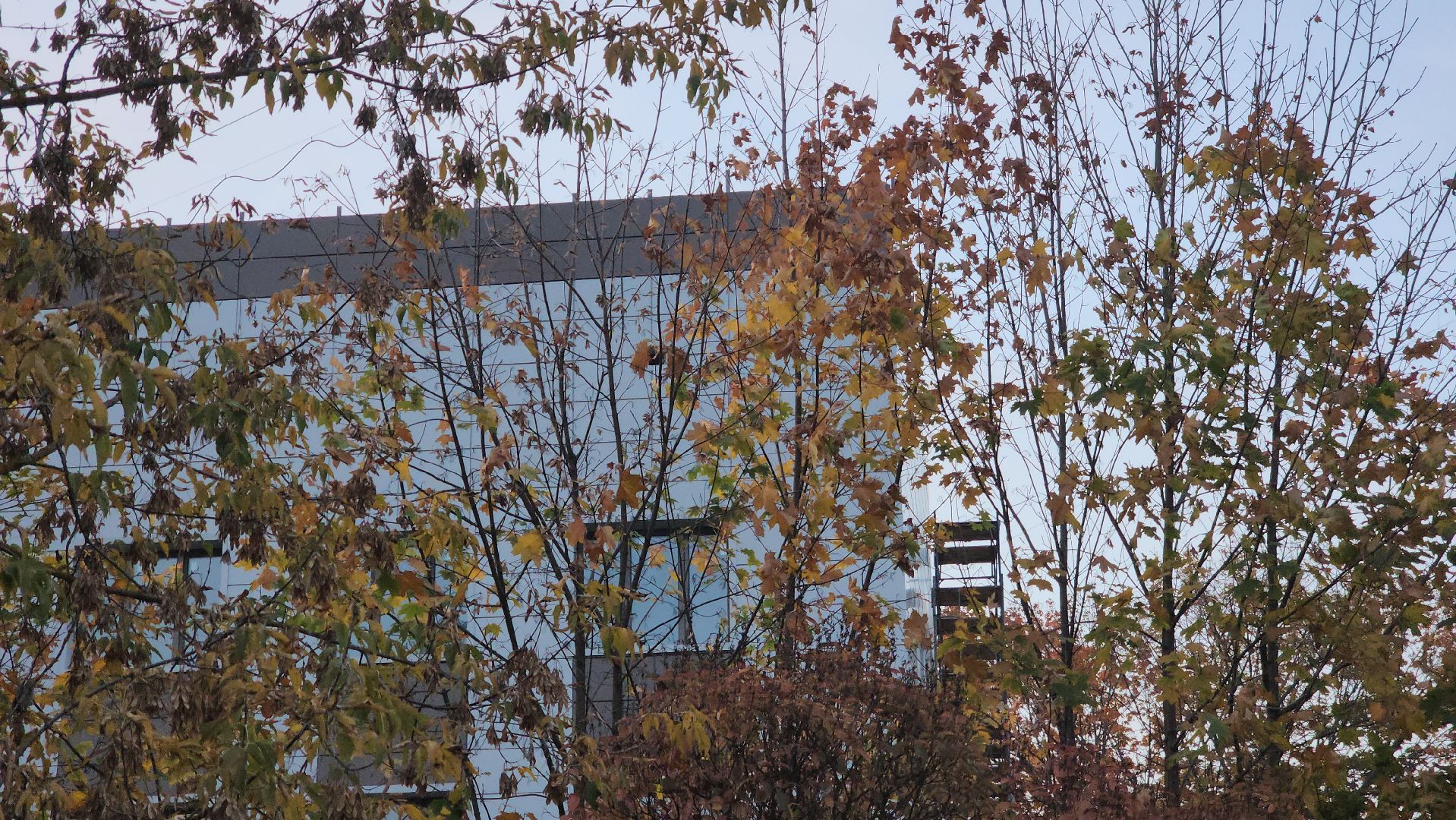 Павловский Посад, городской округ павловский посад, поликлиника, ремонт, строительство, медицина,