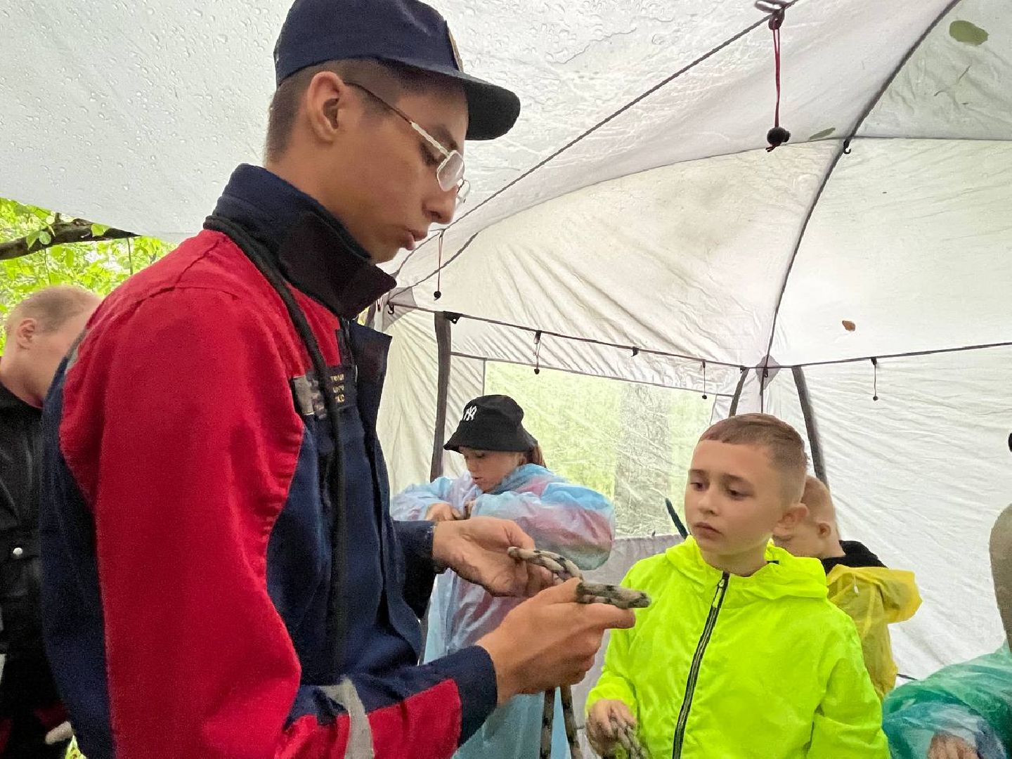 ОБЖ, ЛЕС, Грибы, белый гриб,наро-фоминск,