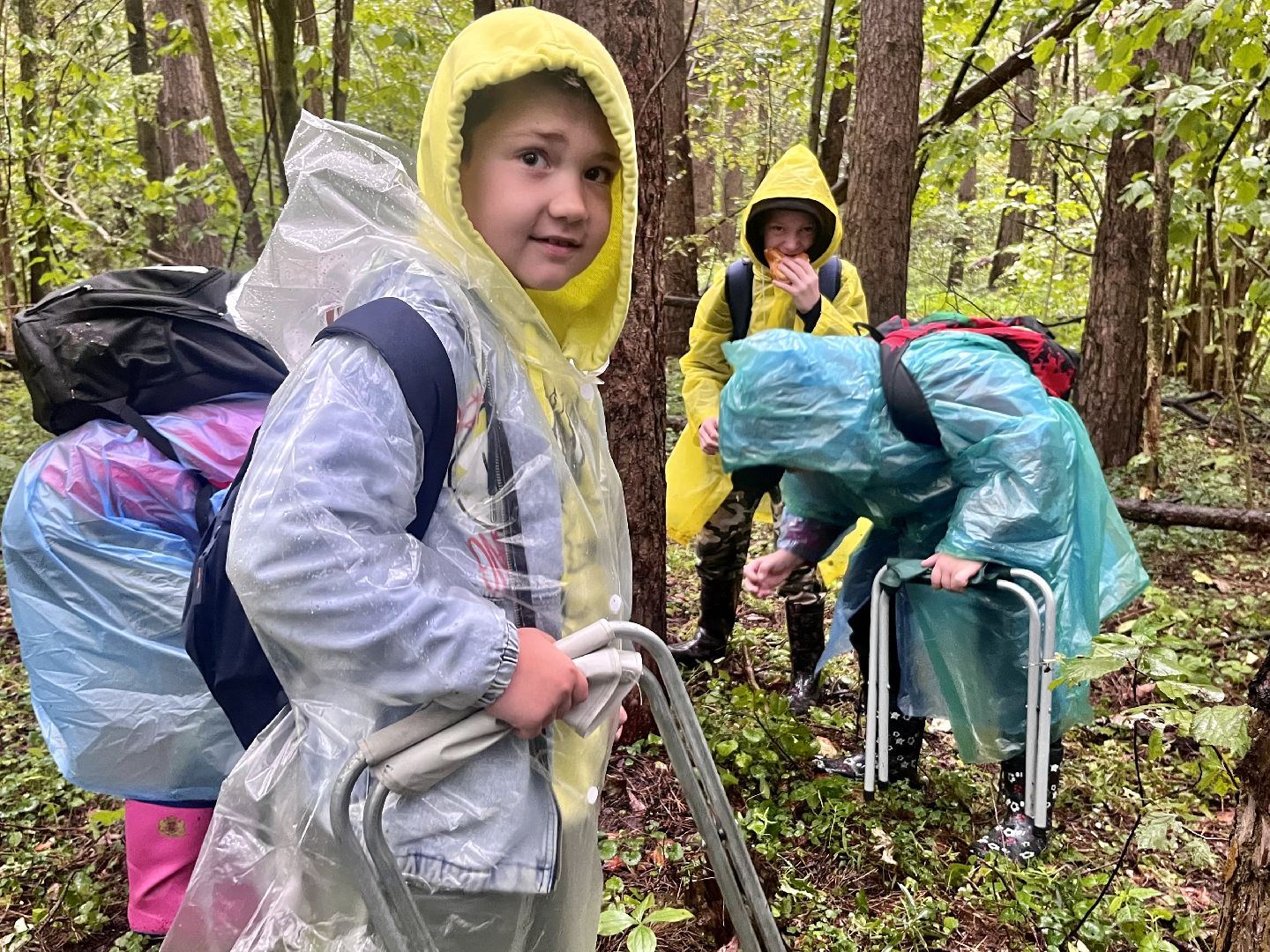 ОБЖ, ЛЕС, Грибы, белый гриб,наро-фоминск,