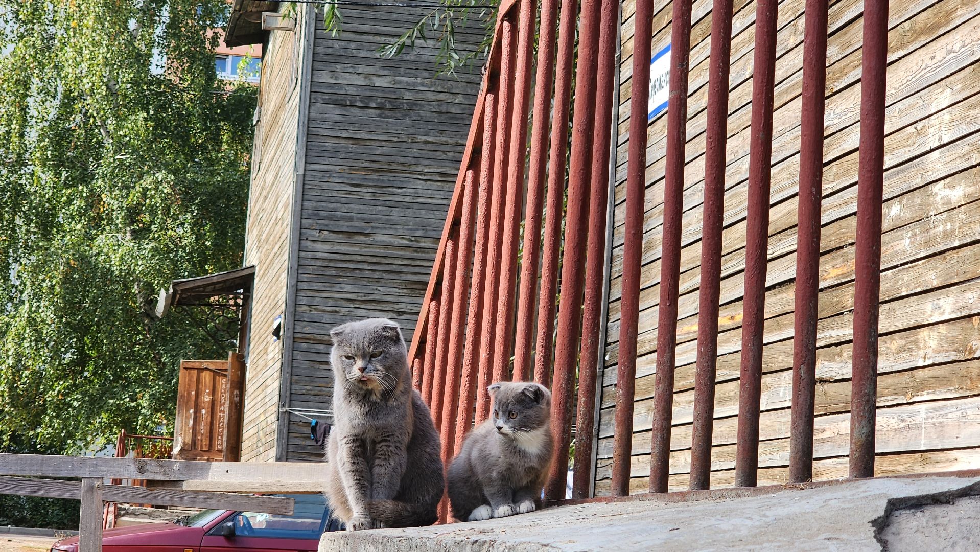 подмосковье, городской округ пушкинский, Ивантеевка, аварийное жилье, Расселение,