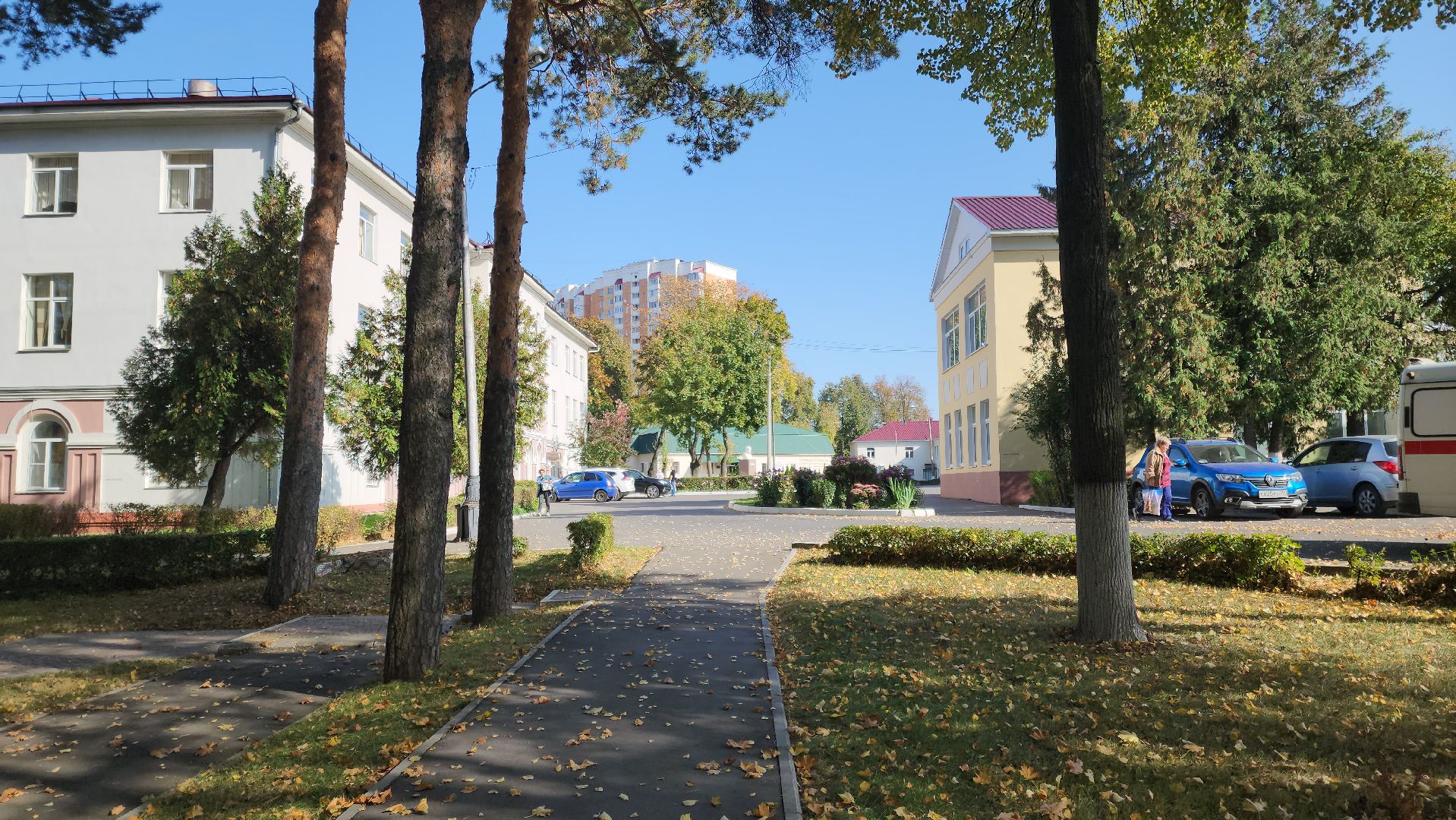 Подольск, Медицина, День сердца, Кардиолог, Здоровье,