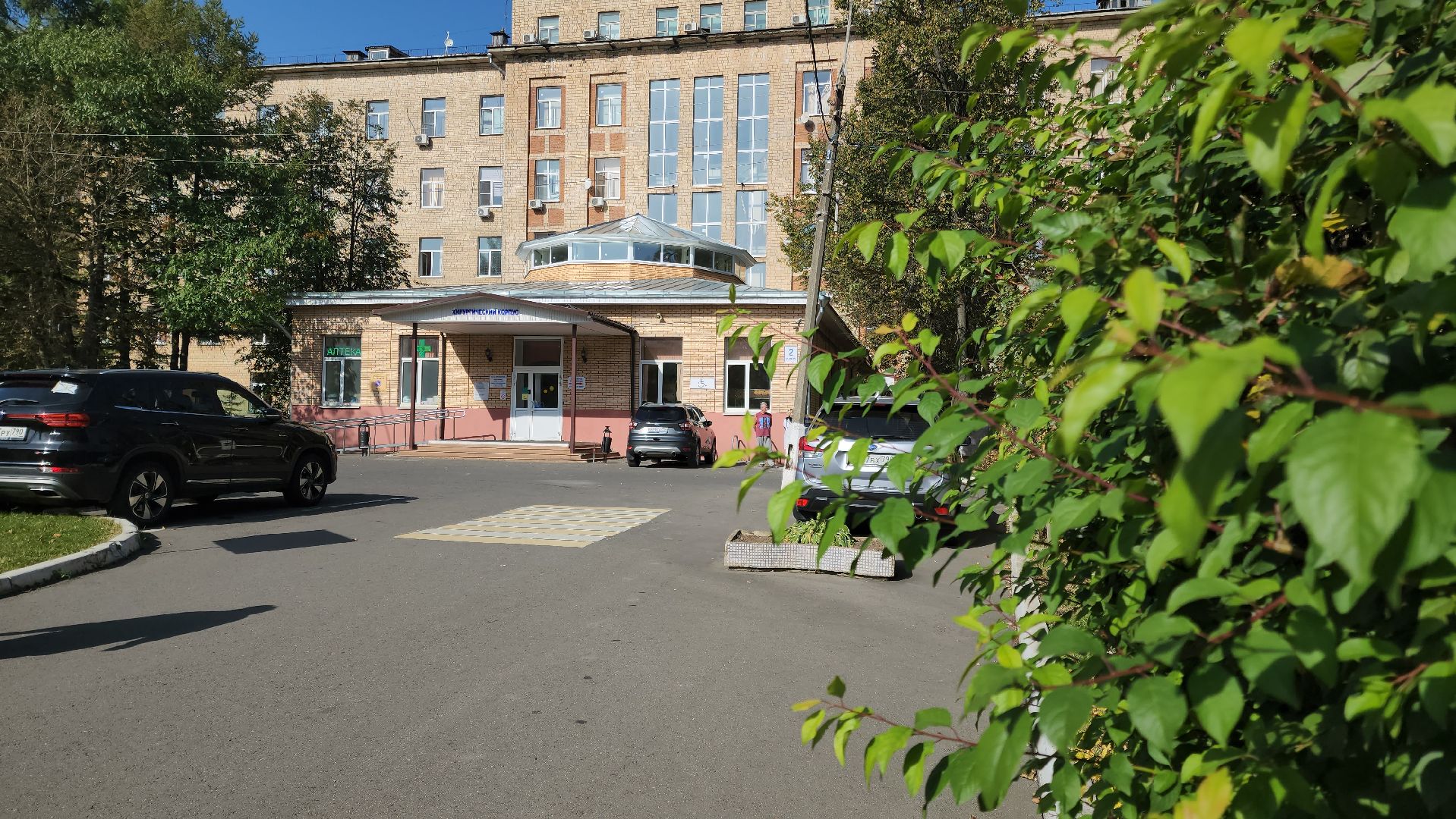 Подольск, Медицина, День сердца, Кардиолог, Здоровье,