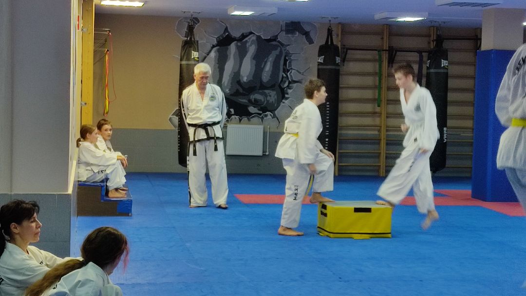 Лобня, спорт, тхэквондо