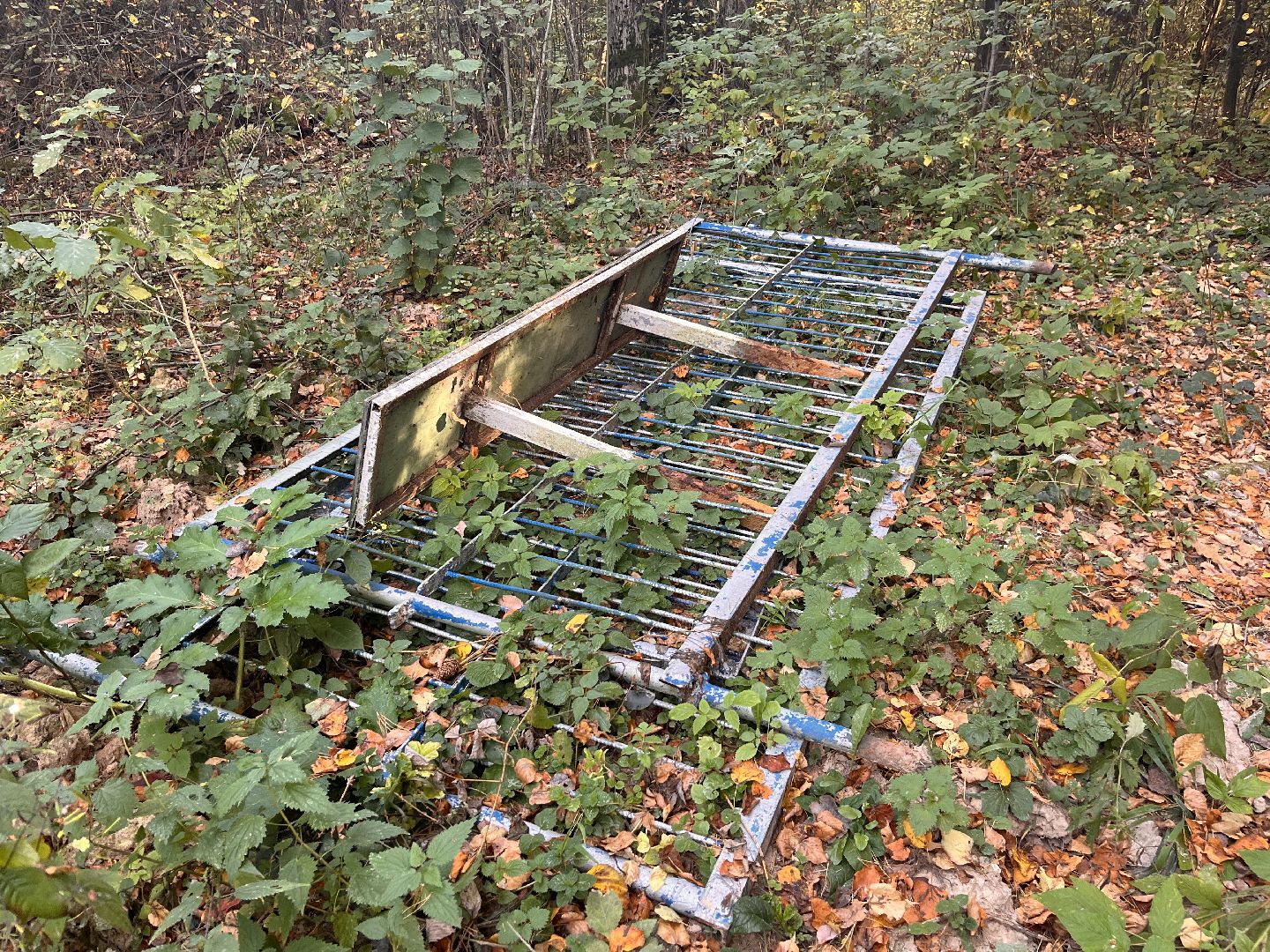 вов, история, благотворительность, памятники, ремонт, руза, рузский городской округ, предприниматели,