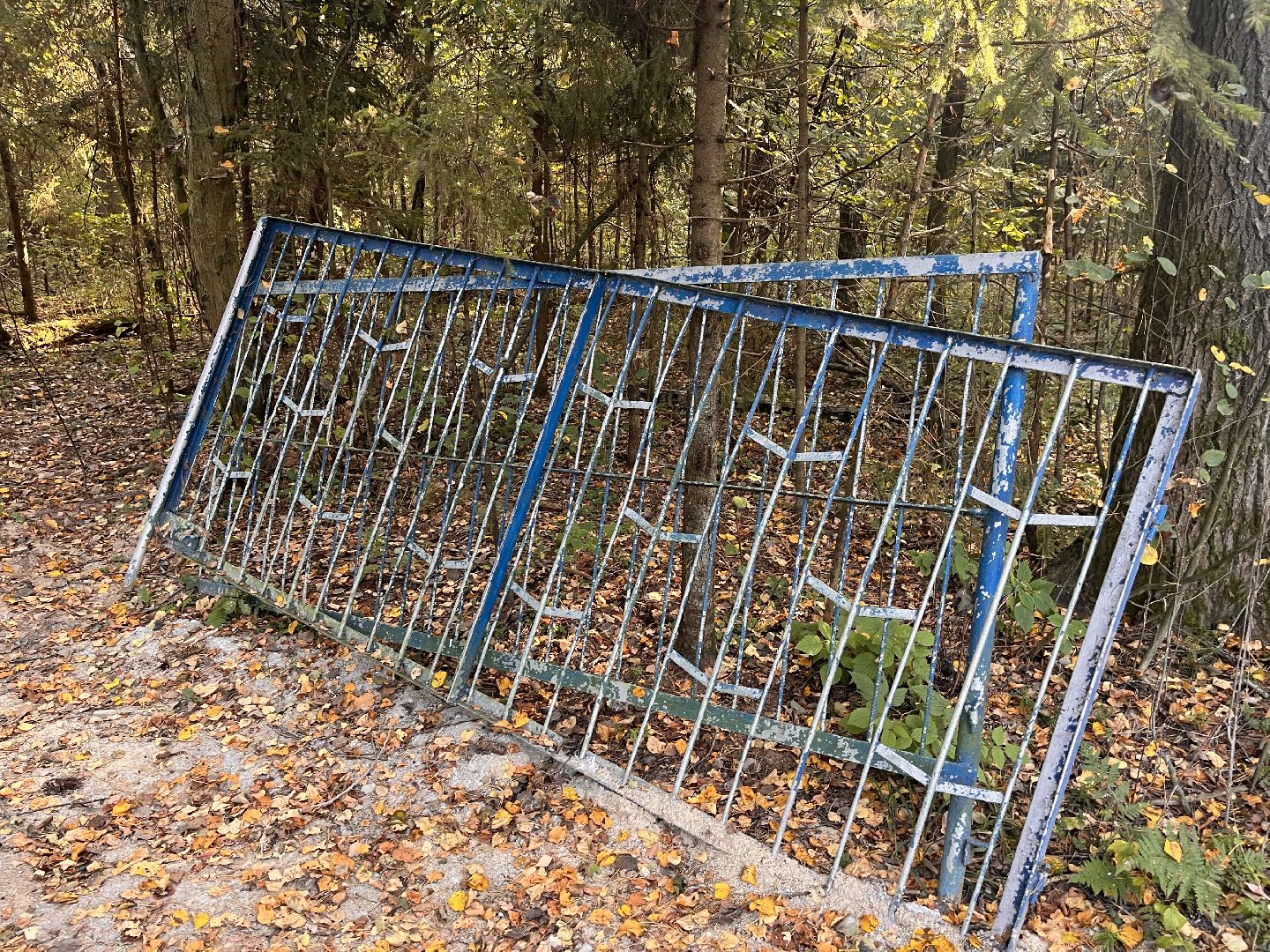 вов, история, благотворительность, памятники, ремонт, руза, рузский городской округ, предприниматели,