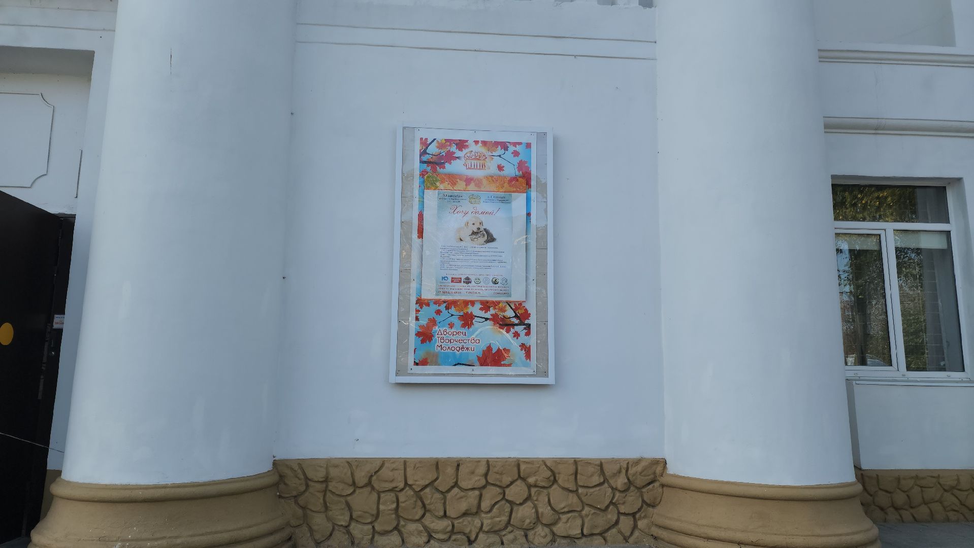 Подольск, Фестиваль, Хочу домой, Татьяна Абрамова, Мастер-классы, животные,