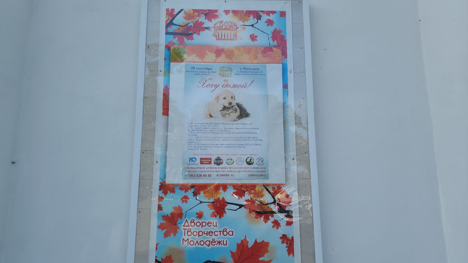 Подольск, Фестиваль, Хочу домой, Татьяна Абрамова, Мастер-классы, животные,