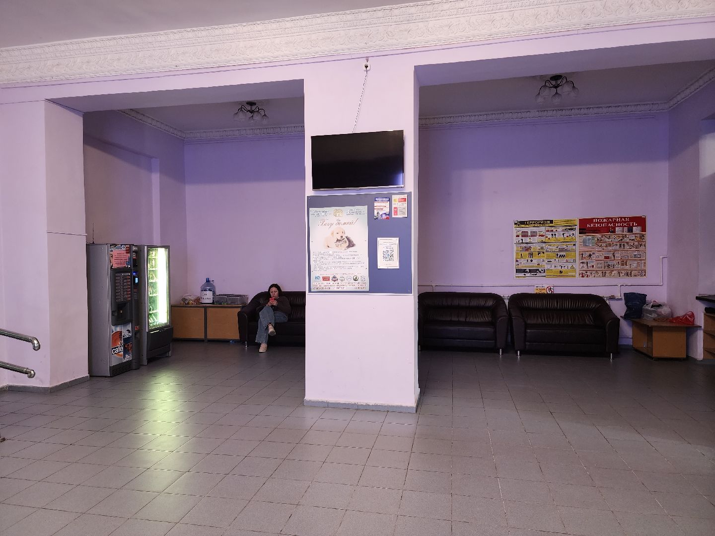 Подольск, Фестиваль, Хочу домой, Татьяна Абрамова, Мастер-классы, животные,