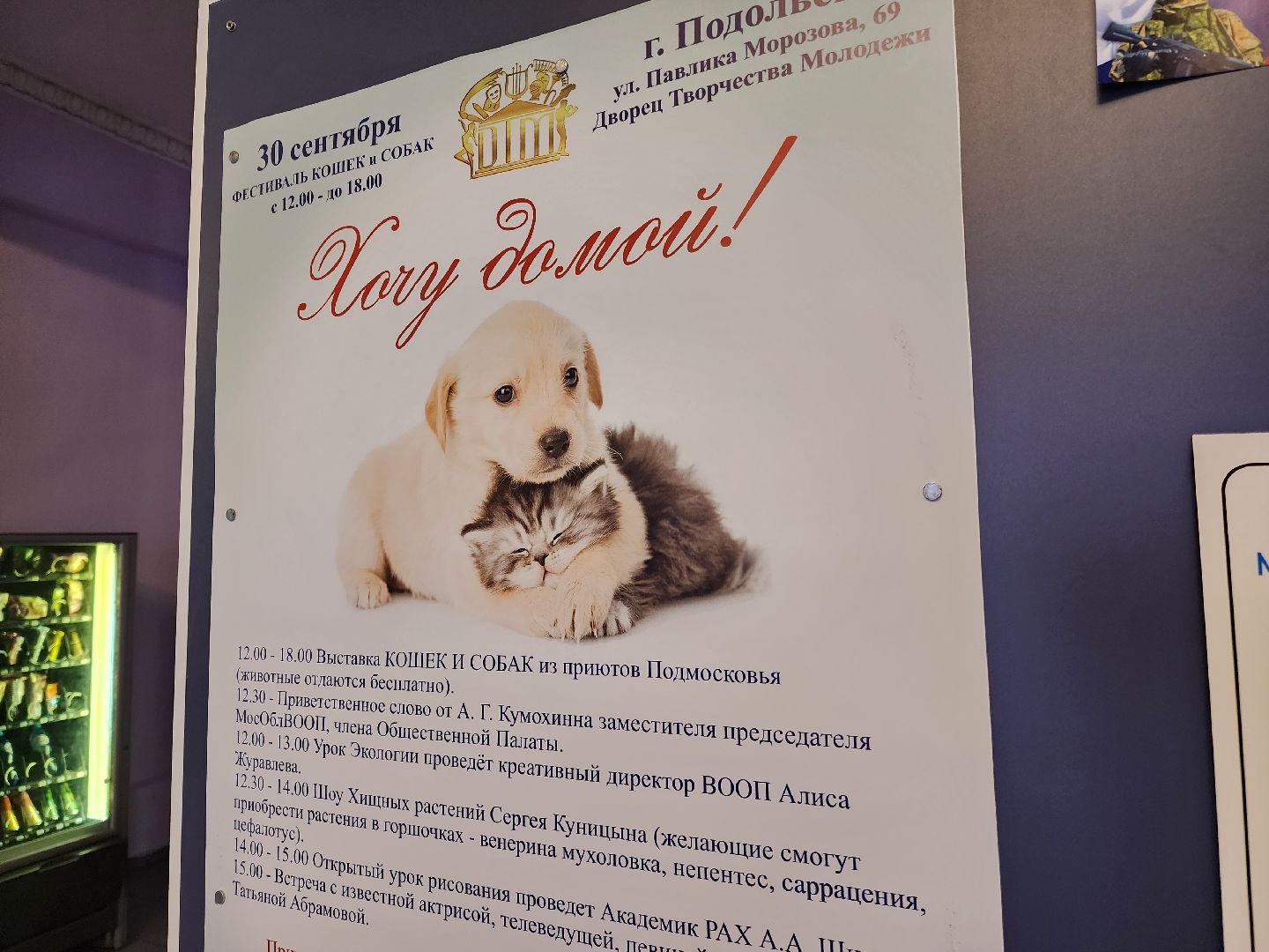 Подольск, Фестиваль, Хочу домой, Татьяна Абрамова, Мастер-классы, животные,