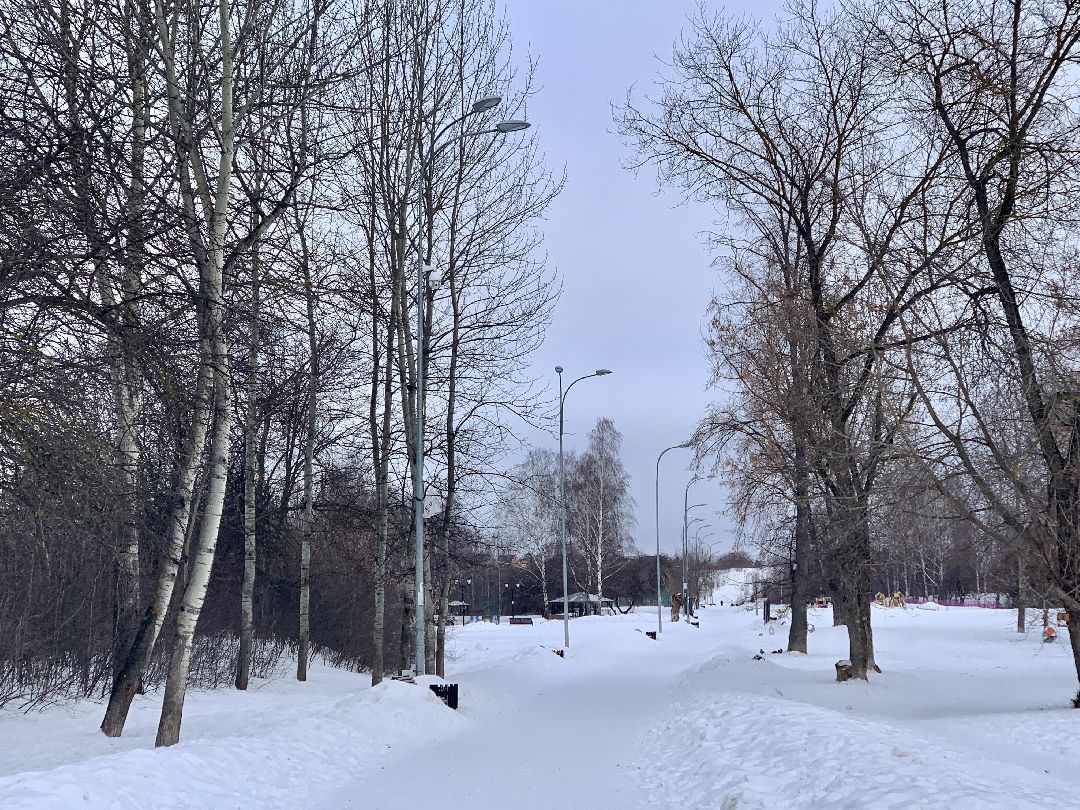 #долгопрудный #подмосковье #парк #благоустройство #реконструкция